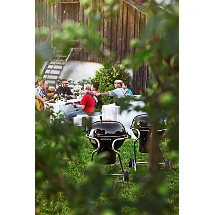 Barbecue À Charbon Nr. 1 F60 Air – D 60cm (1)