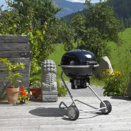 Barbecue À Charbon Nr. 1 F60 Air – D 60cm (16)