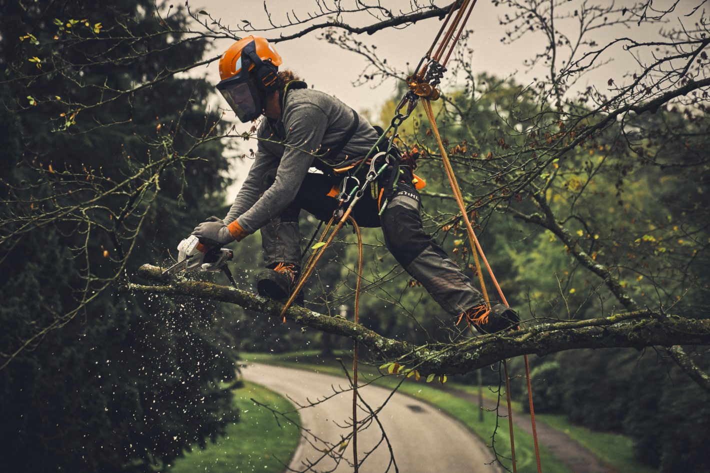 Tronçonneuse STIHL GTA 40 sans batterie ni chargeur (2) Tronçonneuse STIHL GTA 40 sans batterie ni chargeur