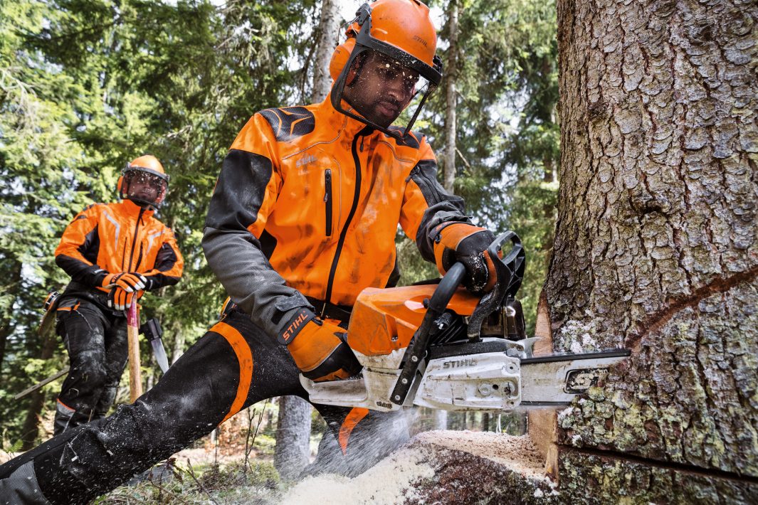 Tronçonneuse STIHL MS 462 C-M (3)